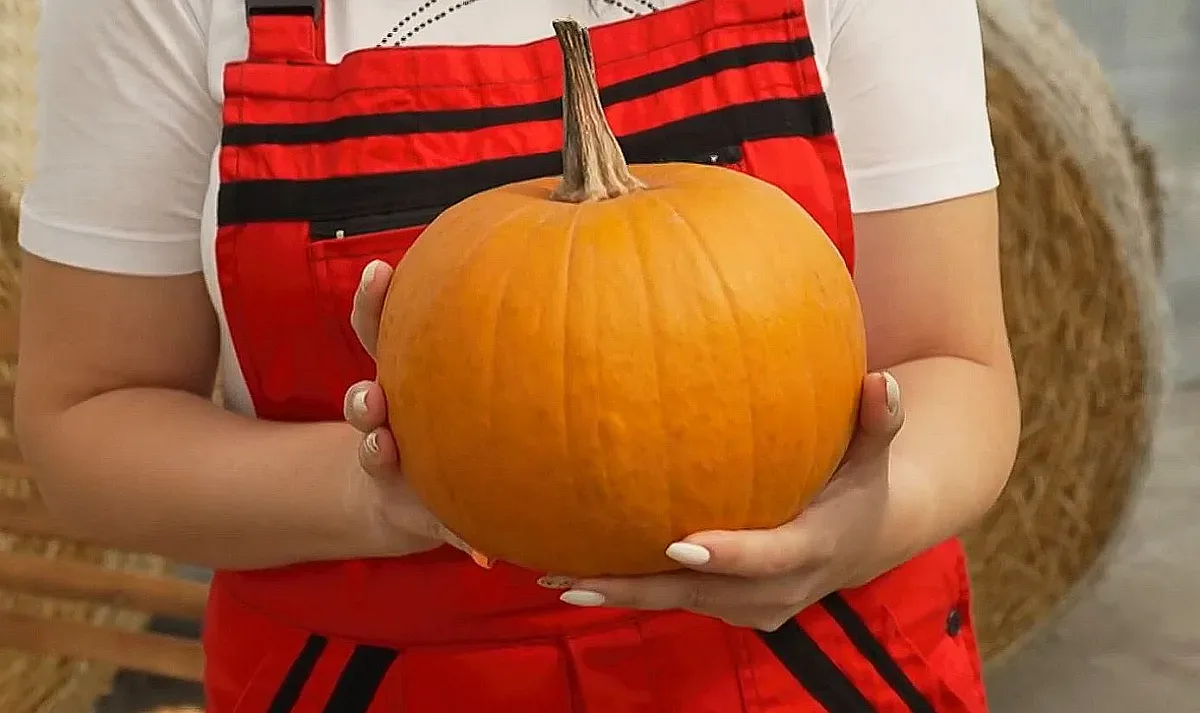 Голяма радост за Хелоуин у нас! Появи се нещо невиждано