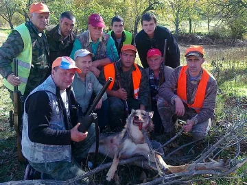 Ардински авджия отстреля 60-килограмова вълчица