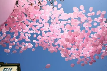 Небето над София порозовя