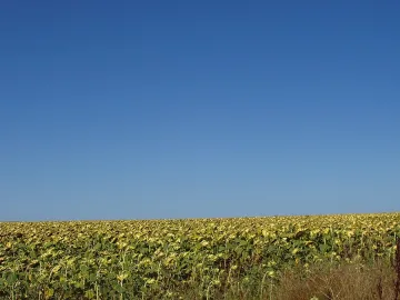 Добруджа се представя с филми и клип