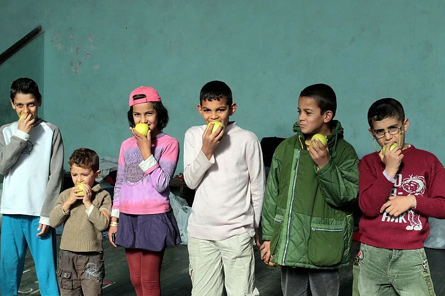 Бежанци цакат карти на изкъртени врати