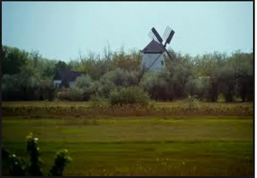 Кметство купи мелницата на грешната Албена