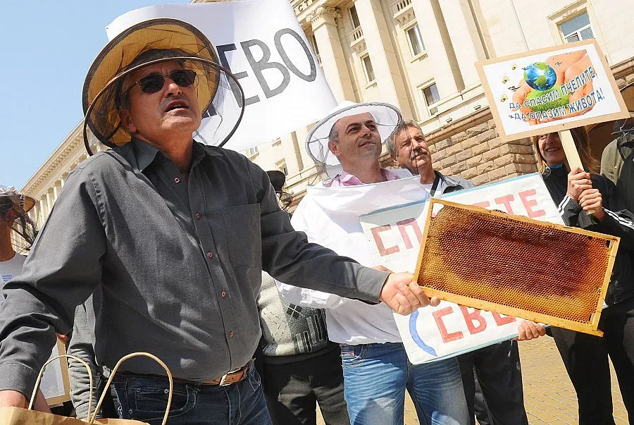 Пчелари сипят пчелен прашец в знак на протест 