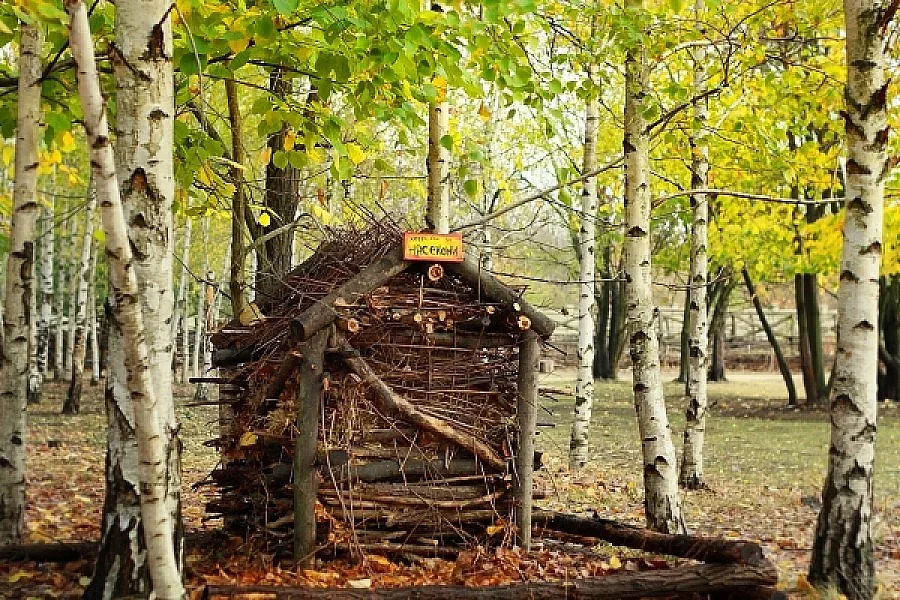 Екобригада гради хотел за таралежи и баня за птици