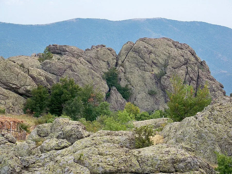 Слагат мини радиопредаватели на сови