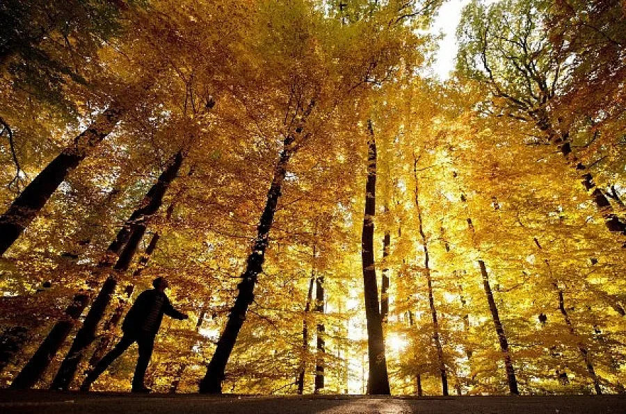 Утре ще е слънчево, с температури между 18° и 23°