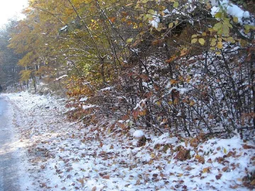 Северняк брули в 18 области до код жълто