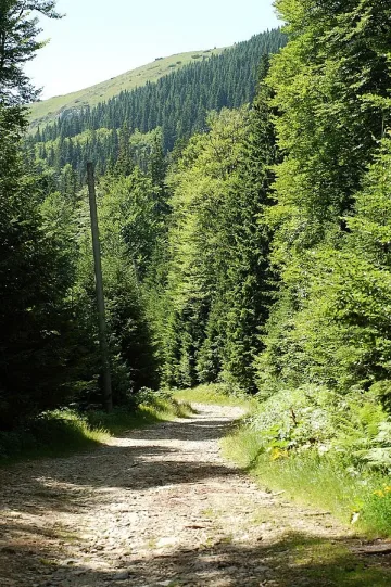 Задържаха двама чужденци до границата със Сърбия