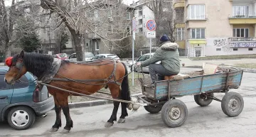 Пловдив забрани каруците в Столипиново