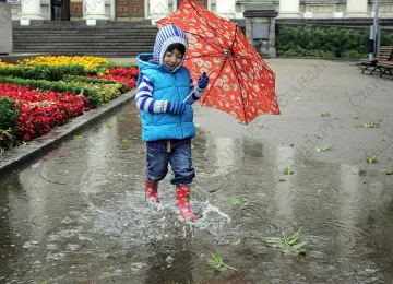 Жълт код в почти цялата страна