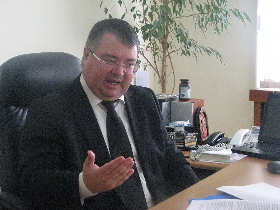 Много приемни семейства канят сирийчета