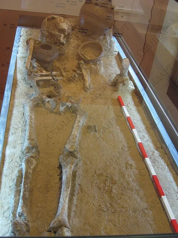 Музеят на Добруджа привлича със световни експонати