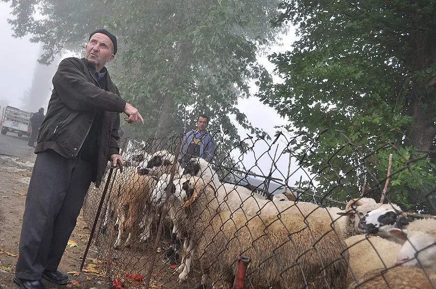 Кочът е родопският Дау Джонс за Байрама