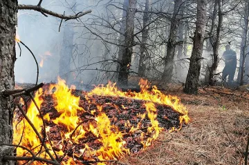 1200 бали слама изгоряха в Кърджалийско 