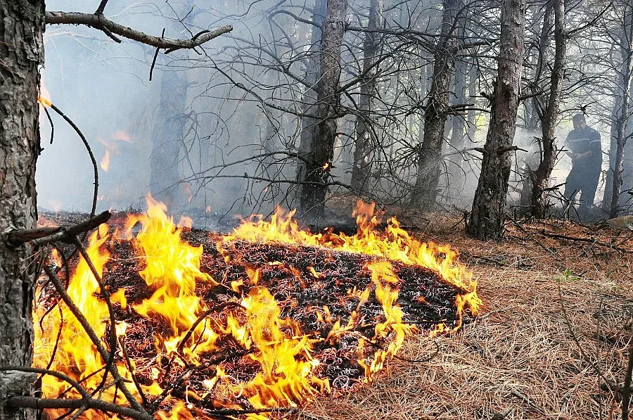 1200 бали слама изгоряха в Кърджалийско