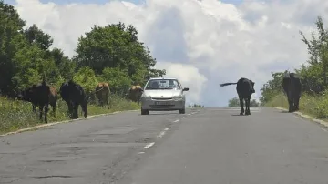 Асфалтираха път след депутатски въпрос