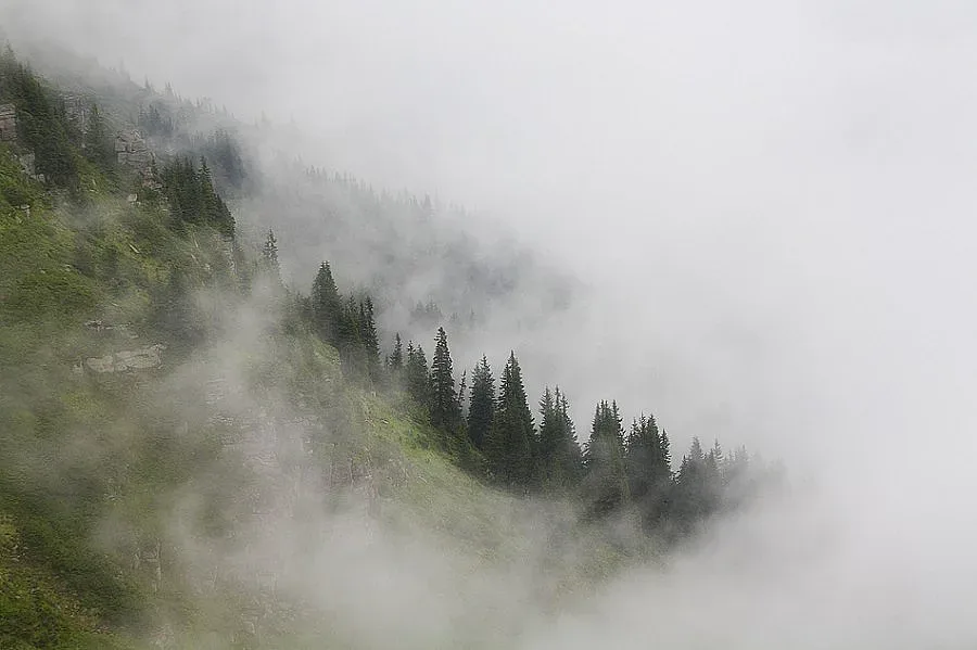 Мъгли и жълт код в 12 области