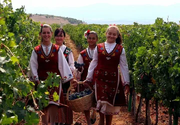 Виното - най-древният бизнес в света