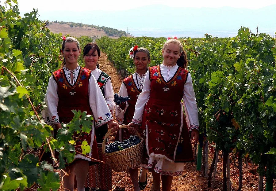 Виното - най-древният бизнес в света