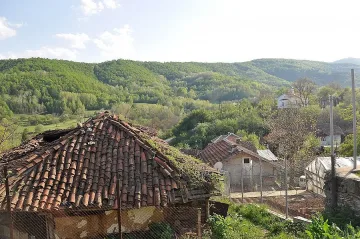 Видинските бебета се раждат в Испания