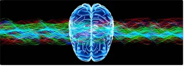 Ултразвук пази от инфаркт и инсулт