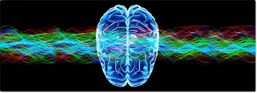 Ултразвук пази от инфаркт и инсулт