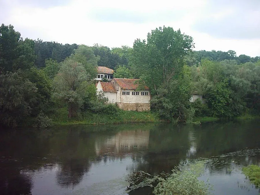 Влагат над 13 милиона лева в завод за риба от Норвегия