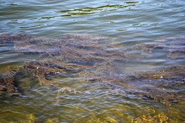 Танкер заседна в Дунав, има опасност от изтичане на нефт