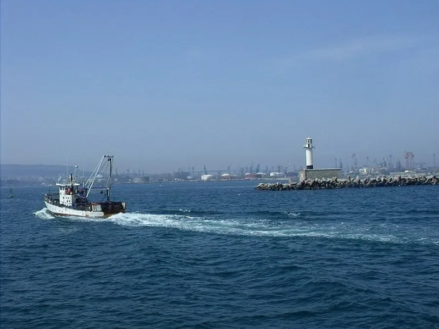 Рибата избяга заради студа