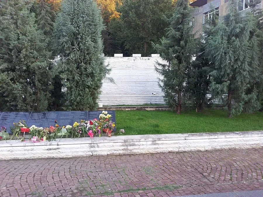 Младежи от ГЕРБ изчистиха графити край паметник