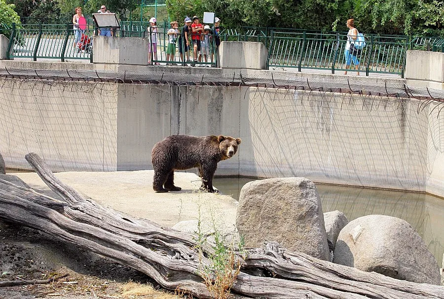 Само зоологическата градина в Добрич отговаря на закона