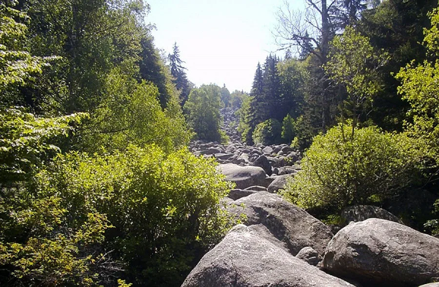 Отбелязваме Деня на планинския спасител