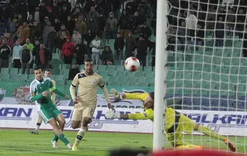 Стоянов: Заработих някой лев