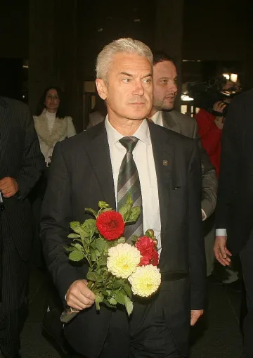 Волен в саксия