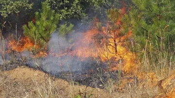 Пожар изпепели 2500 бали с люцерна