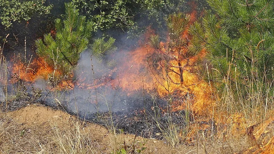 Пожар изпепели 2500 бали с люцерна