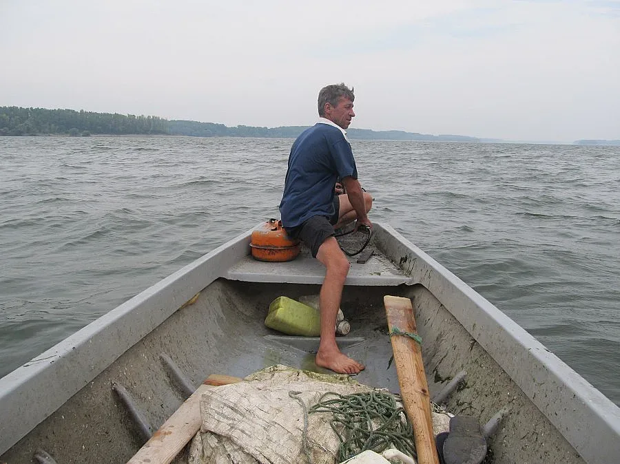 Забраняват улова на пъстърва и сьомга