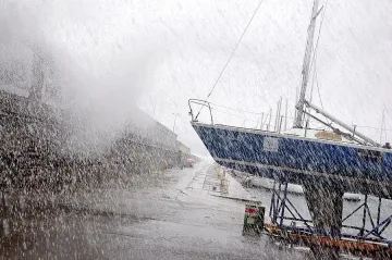 Буря събори клони върху коли във Варна