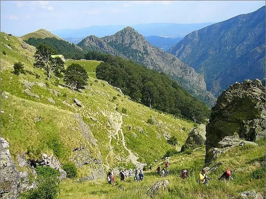 Разкриха далавера с обществена поръчка за 321 000 лв