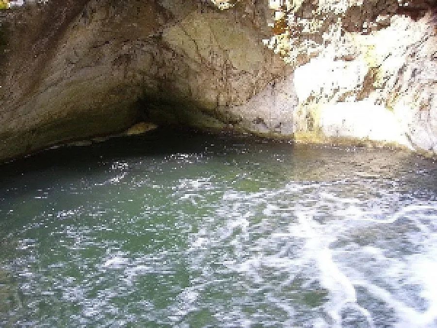 Натискат кметове да дават вировете на концесия