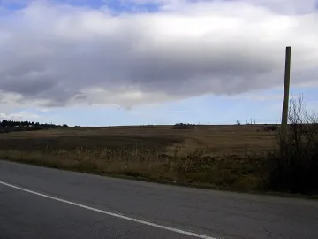 Чучело, паднало на пътното платно, стряска шофьори