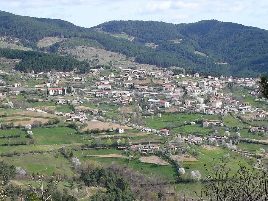 Тефтери крият тайната за обесените братя