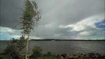 Времето утре: Вятърът ще се усилва, прониква хладен въздух