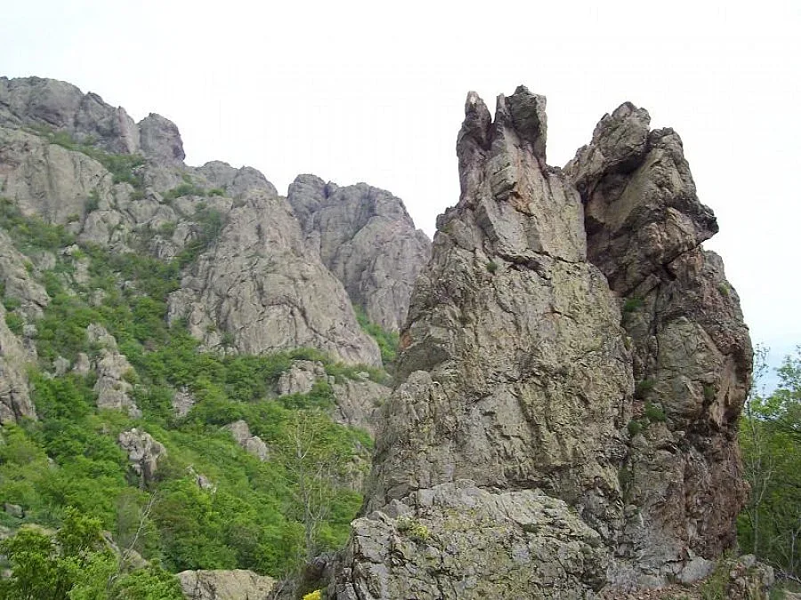 Природен парк "Сините камъни" има нов шеф