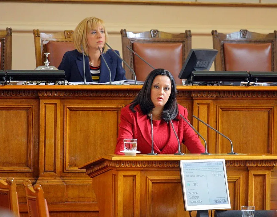 Павлова: Не сме се отказали от вота