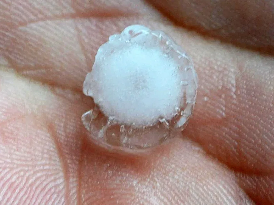 Градушка унищожи над 100 дка с червена капия и зеле в Кирковско 