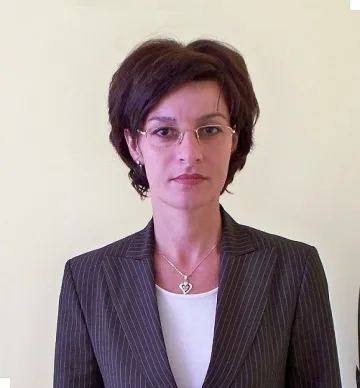 Враг пред портата