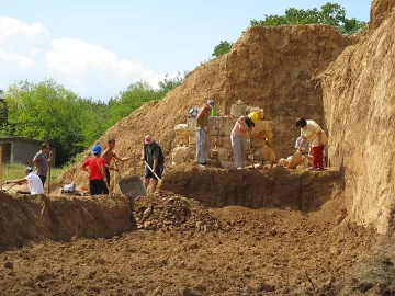 Археологически резерват засят с люцерна