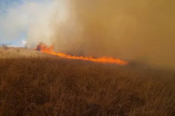 Пожар избухна след военни стрелби край Казанлък