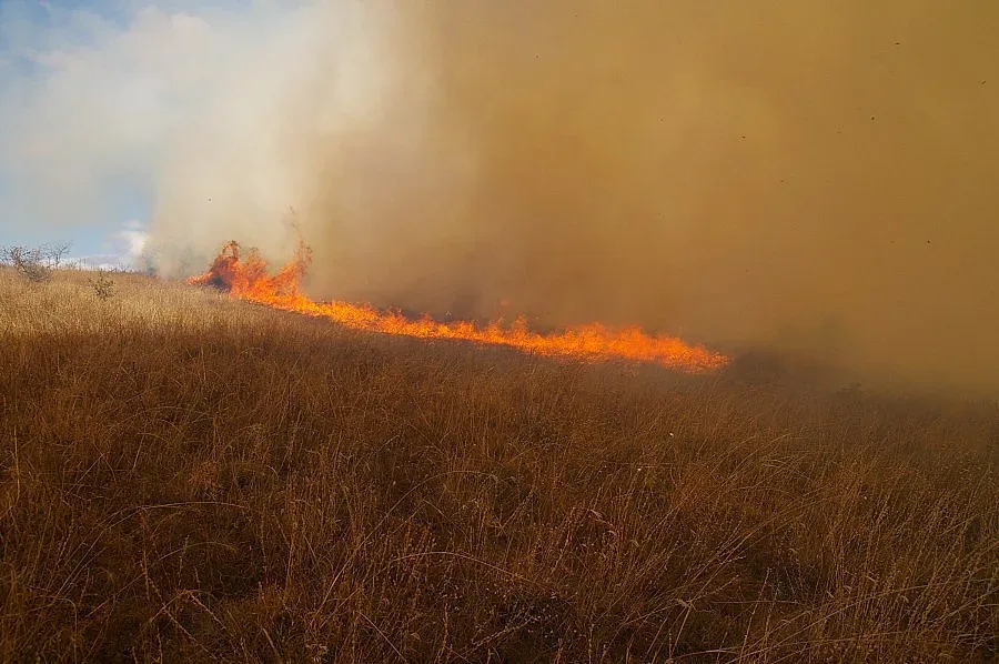 Пожар избухна след военни стрелби край Казанлък